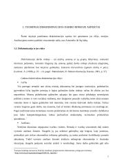 Moterų diskriminavimas Lietuvos darbo rinkoje 7 puslapis