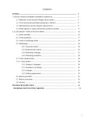 Naujos maitinimo įmonės verslo planavimas Plungės mieste 2 puslapis