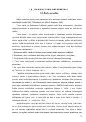 Naujos maitinimo įmonės verslo planavimas Plungės mieste 14 puslapis