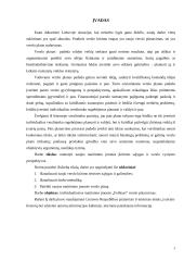 Naujos maitinimo įmonės verslo planavimas Plungės mieste 3 puslapis