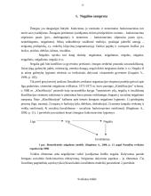 Nuostatų formavimas ir jų įtaka neįgaliųjų integravimuisi į visuomenę socialinio darbo aspektu 13 puslapis