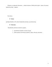 Hondūro ir Šri Lankos žiniasklaidos sistemos 4 puslapis