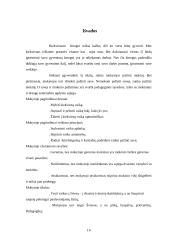 Idealaus mokytojo modelis 16 puslapis