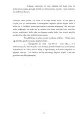 Idealaus mokytojo modelis 17 puslapis