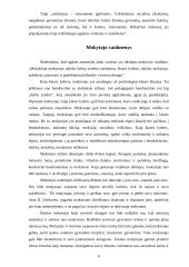 Idealaus mokytojo modelis 6 puslapis