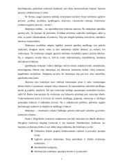 Idealaus mokytojo modelis 7 puslapis