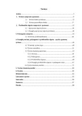 Paauglių nerimo, pažangumo ir problemiško elgesio sąryšis 4 puslapis