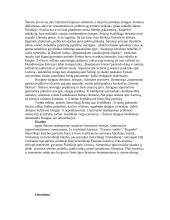 Igno Šeiniaus biografija 5 puslapis
