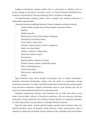 Pagrindinės Europos Sąjungos (ES) institucijos 16 puslapis