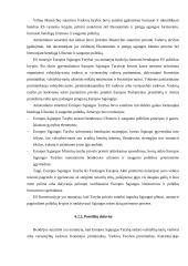 Pagrindinės Europos Sąjungos (ES) institucijos 19 puslapis