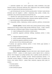 Įmonės buhalterinės apskaitos kompiuterizavimas 11 puslapis