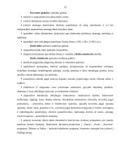 Įmonės buhalterinės apskaitos kompiuterizavimas 12 puslapis