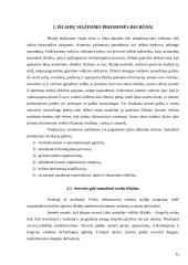 Įmonės išlaidų klasifikavimas ir išlaidų mažinimo priemonės bei būdai 12 puslapis