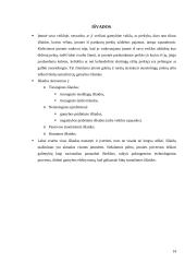 Įmonės išlaidų klasifikavimas ir išlaidų mažinimo priemonės bei būdai 14 puslapis