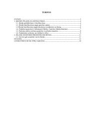 Įmonės išlaidų klasifikavimas ir išlaidų mažinimo priemonės bei būdai 3 puslapis