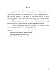 Įmonės išlaidų klasifikavimas ir išlaidų mažinimo priemonės bei būdai 4 puslapis