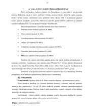 Įmonės mokesčiai: UAB "Eltus" 10 puslapis