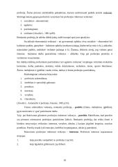 Pedagogų (auklėtojų) profesinis pašaukimas ir jo raiška 9 puslapis