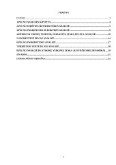 Įmonės pelno analizė: AB "Ragutis" 2 puslapis