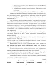 Įmonės pelno analizė: AB "Ragutis" 11 puslapis