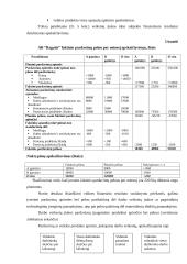 Įmonės pelno analizė: AB "Ragutis" 13 puslapis