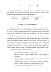 Įmonės pelno analizė: AB "Ragutis" 14 puslapis