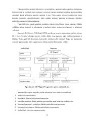 Įmonės pelno analizė: AB "Ragutis" 15 puslapis