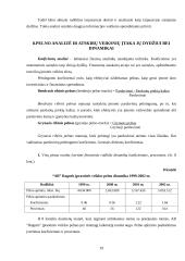 Įmonės pelno analizė: AB "Ragutis" 19 puslapis