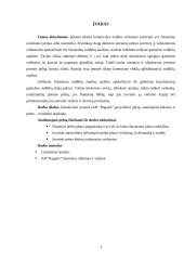 Įmonės pelno analizė: AB "Ragutis" 3 puslapis