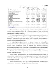 Įmonės pelno analizė: AB "Ragutis" 6 puslapis