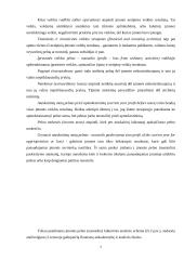 Įmonės pelno analizė: AB "Ragutis" 7 puslapis