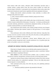 Įmonės pelno analizė: AB "Ragutis" 10 puslapis