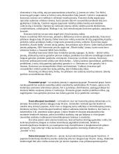 Įmonių sąjungos: rūšys, tikslai, įtaka 3 puslapis