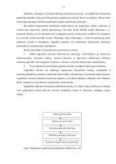 Produkcijos paskirstymų valdymas: KB "Biodyzelis" 14 puslapis