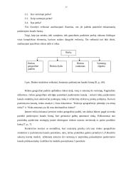Produkcijos paskirstymų valdymas: KB "Biodyzelis" 17 puslapis