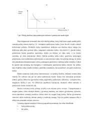 Produkcijos paskirstymų valdymas: KB "Biodyzelis" 20 puslapis