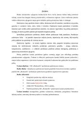 Produkcijos paskirstymų valdymas: KB "Biodyzelis" 3 puslapis