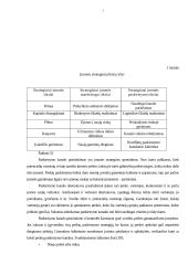 Produkcijos paskirstymų valdymas: KB "Biodyzelis" 7 puslapis