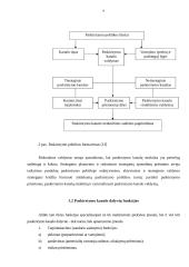 Produkcijos paskirstymų valdymas: KB "Biodyzelis" 9 puslapis