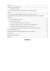 Socialinės pagalbos poreikis emigravusių tėvų mokyklinio amžiaus vaikams 2 puslapis