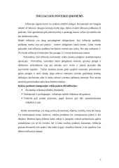 Infliacijos samprata ir formos 5 puslapis
