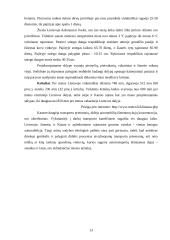 Sodybos sutvarkymo projektas: M. Balašaičio sodyba 13 puslapis