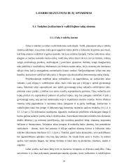 Sodybos sutvarkymo projektas: M. Balašaičio sodyba 14 puslapis