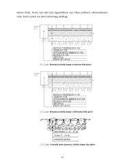 Sodybos sutvarkymo projektas: M. Balašaičio sodyba 15 puslapis