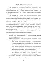 Sodybos sutvarkymo projektas: M. Balašaičio sodyba 16 puslapis