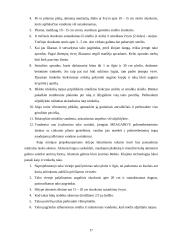 Sodybos sutvarkymo projektas: M. Balašaičio sodyba 17 puslapis