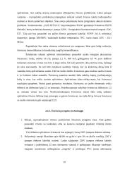 Sodybos sutvarkymo projektas: M. Balašaičio sodyba 19 puslapis