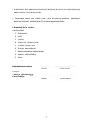 Sodybos sutvarkymo projektas: M. Balašaičio sodyba 3 puslapis