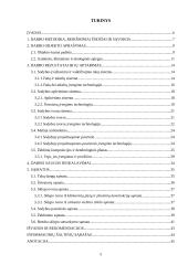 Sodybos sutvarkymo projektas: M. Balašaičio sodyba 5 puslapis