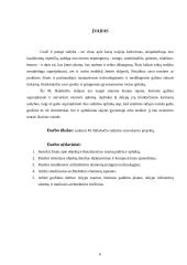 Sodybos sutvarkymo projektas: M. Balašaičio sodyba 6 puslapis